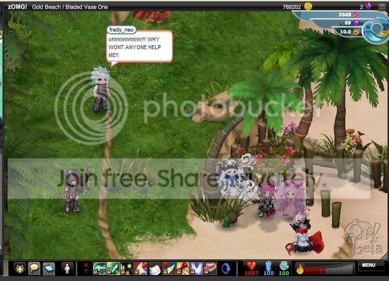 User Image