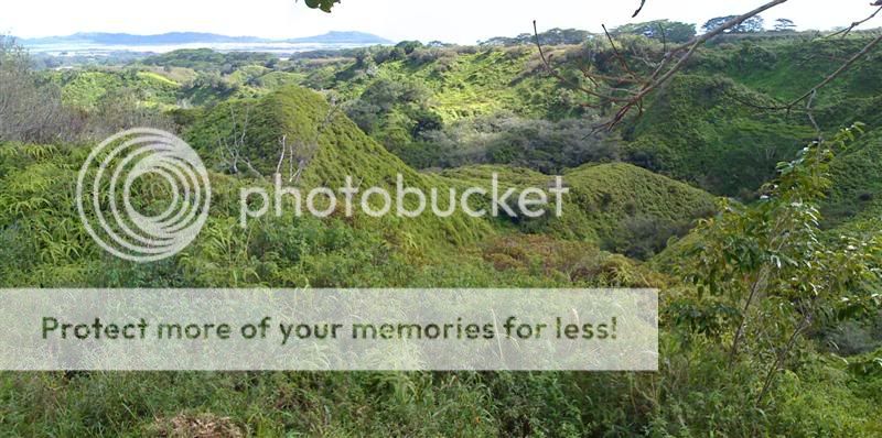 Texas hog hunter on Kauai, Hawaii hunt Nov'09 Panorama4Medium