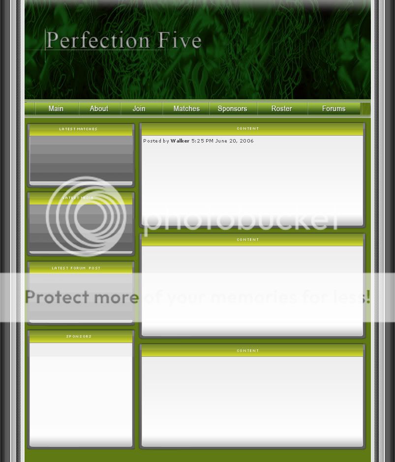NEW Website PerfectionFivecopy