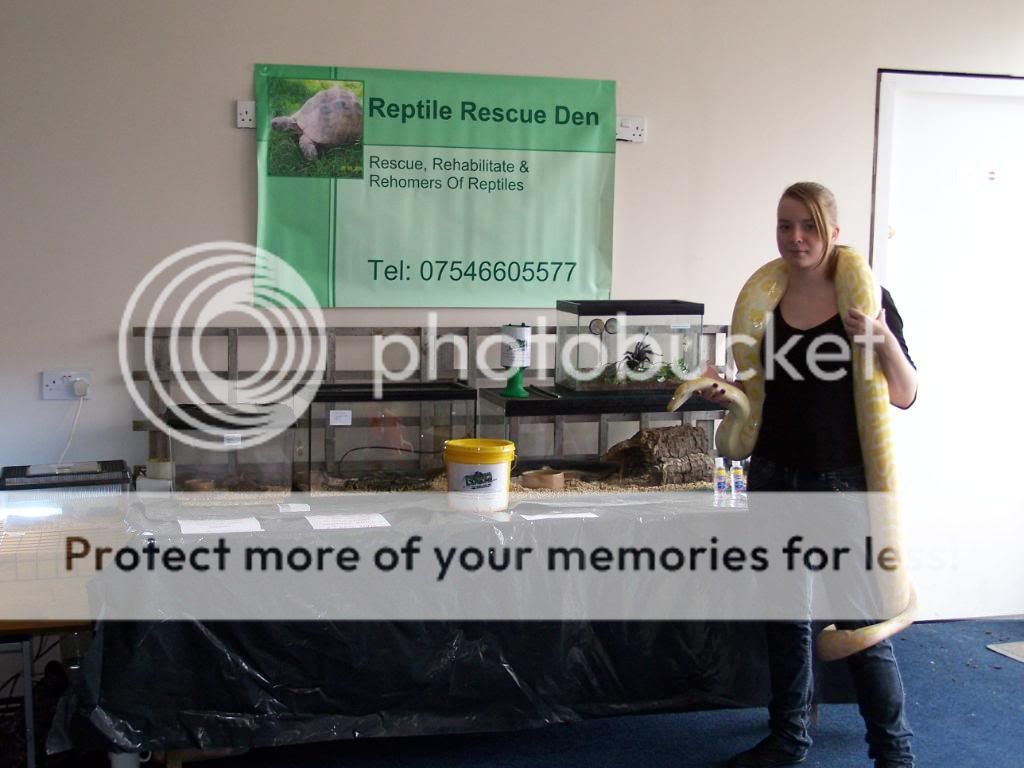 Reptile Awareness Day at Towneley Garden Centre 003-9
