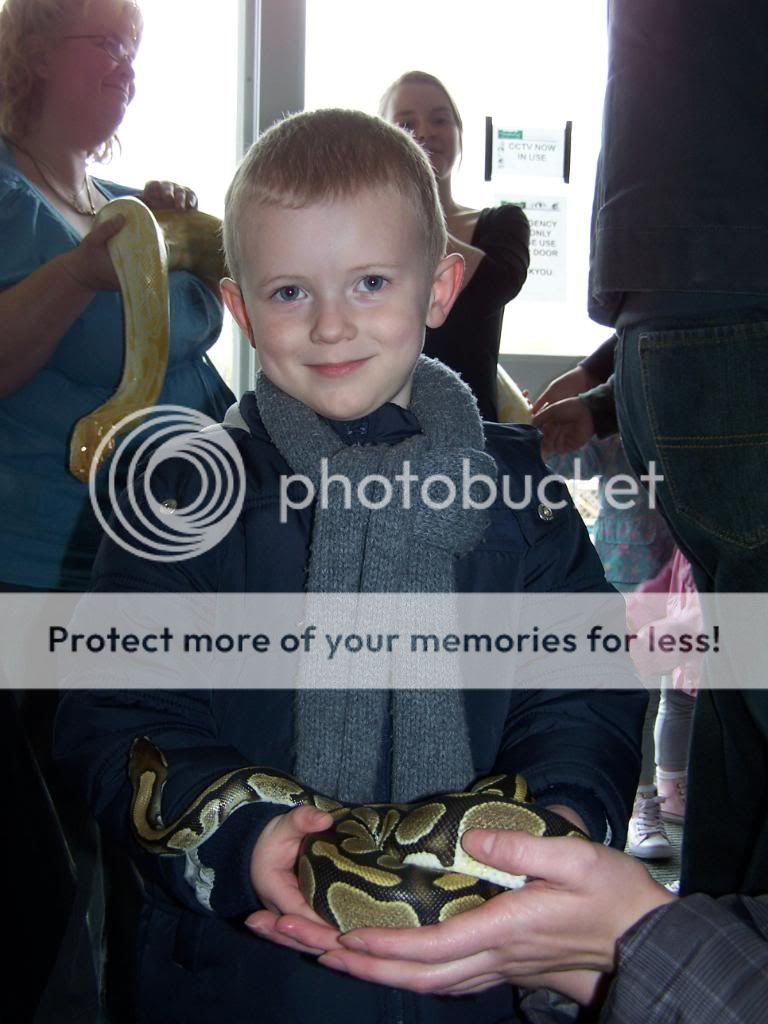 Reptile Awareness Day at Towneley Garden Centre 011-3