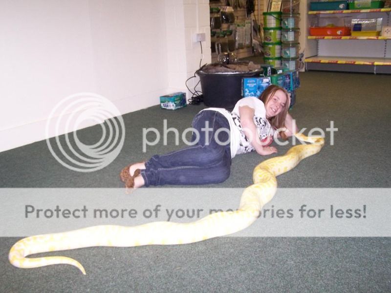 Show us your BIG Snakes. 014-1