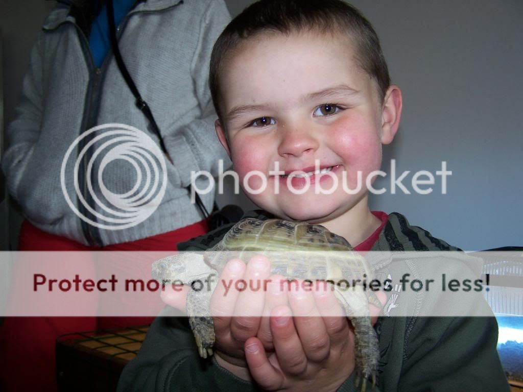 Reptile Awareness Day at Towneley Garden Centre 015-1