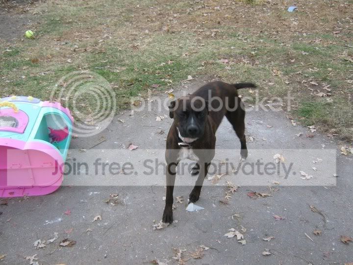 tyson.jpg