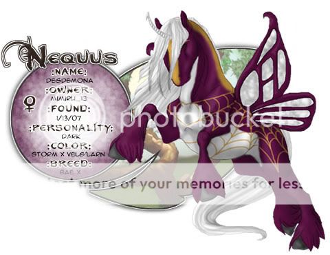 User Image