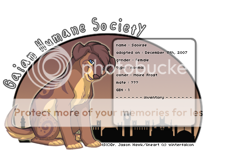 User Image