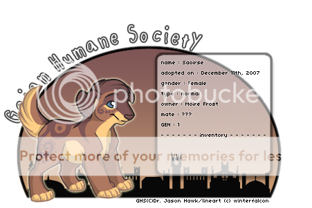 User Image