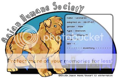 User Image