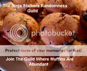 The Ninja Stalkers Randomness Guild~ GRAND REOPENING! banner