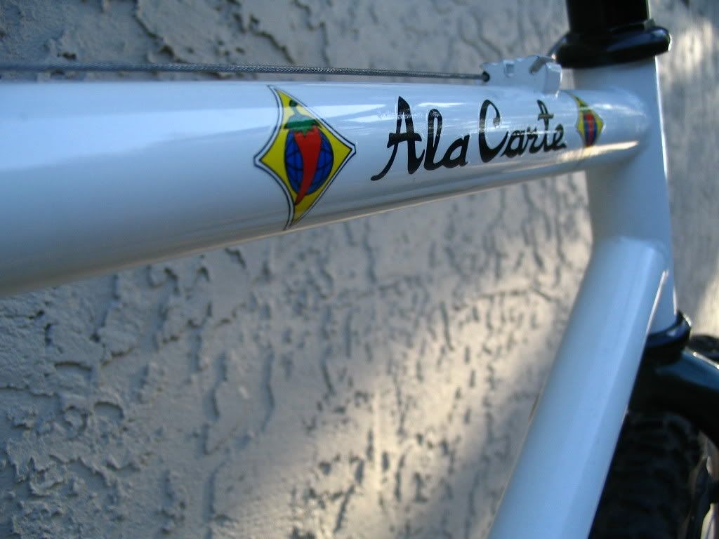 salsa cycles decals