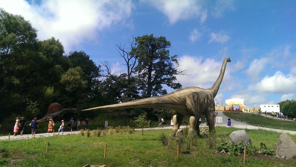 photo 9.jpg