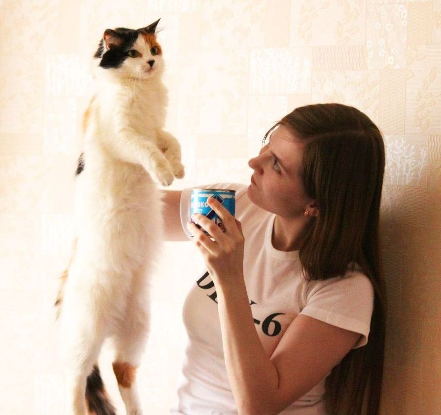 photo LiY5Y5adeS8.jpg