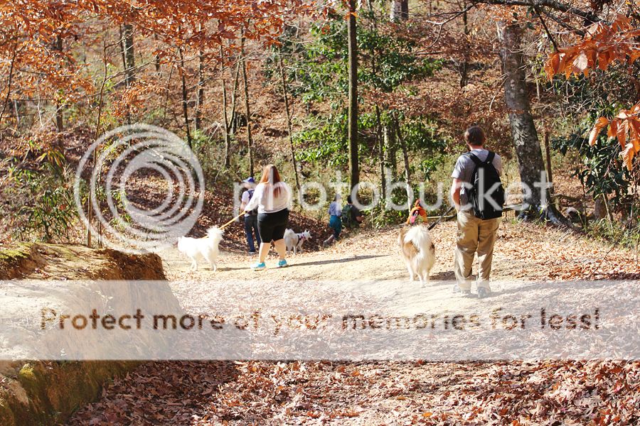 Hiking with Dogs: Clark Creek Natural Area/ Tunica Hills, MS IMG_6104-sm_zpsc4fdbc91