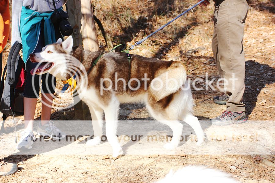 Hiking with Dogs: Clark Creek Natural Area/ Tunica Hills, MS IMG_6109-sm_zps9cb9ebd5