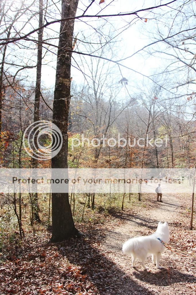 Hiking with Dogs: Clark Creek Natural Area/ Tunica Hills, MS IMG_6110-sm_zps681158da