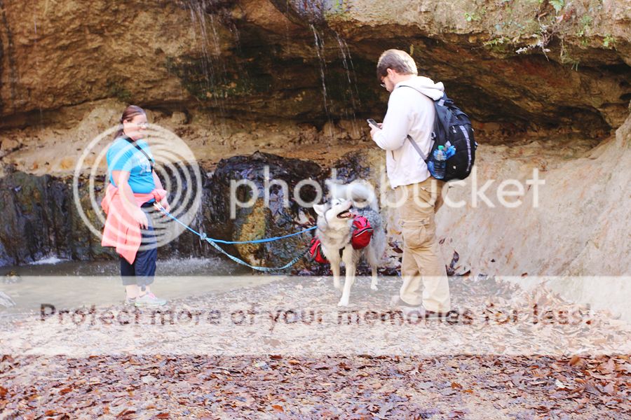 Hiking with Dogs: Clark Creek Natural Area/ Tunica Hills, MS IMG_6137-sm_zpsffae3f85