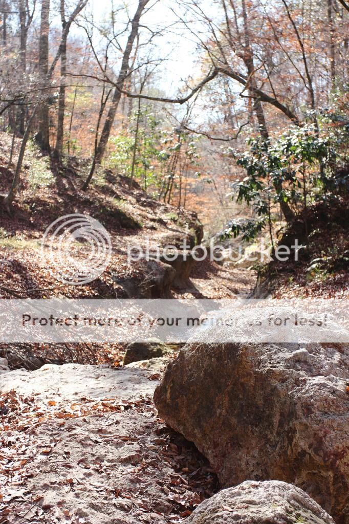 Hiking with Dogs: Clark Creek Natural Area/ Tunica Hills, MS IMG_6165-sm_zps19f8f219