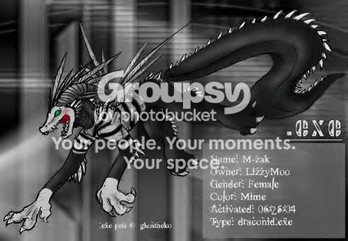User Image