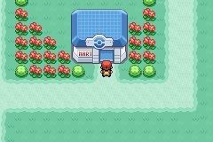 [PokeCommunity.com] Pokemon Chronicles Of Bakto!!!