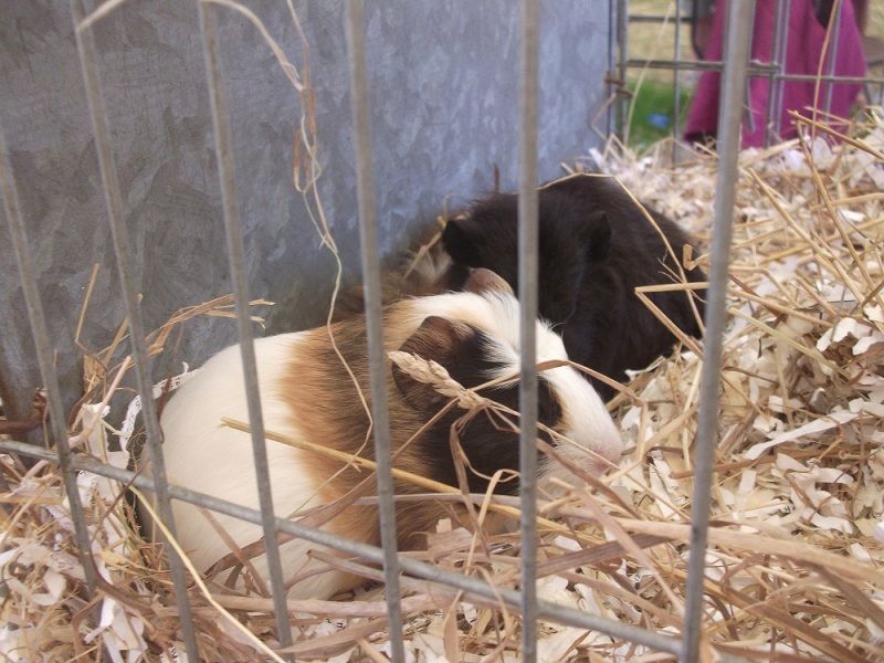 DSCF3052.jpg
