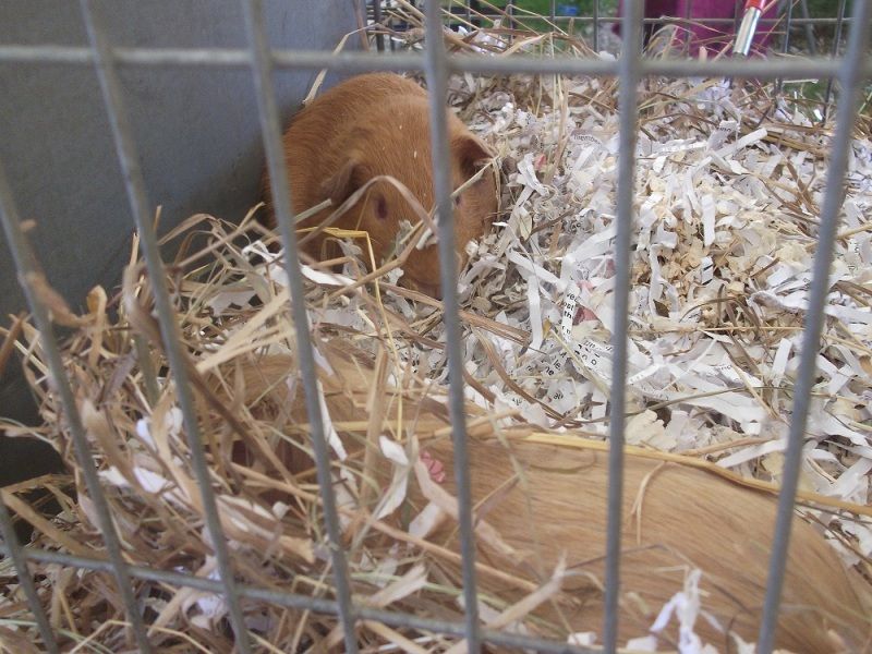 DSCF3054.jpg