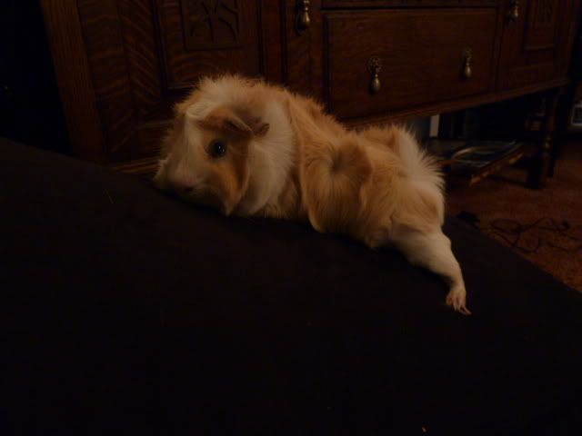 P1040159.jpg