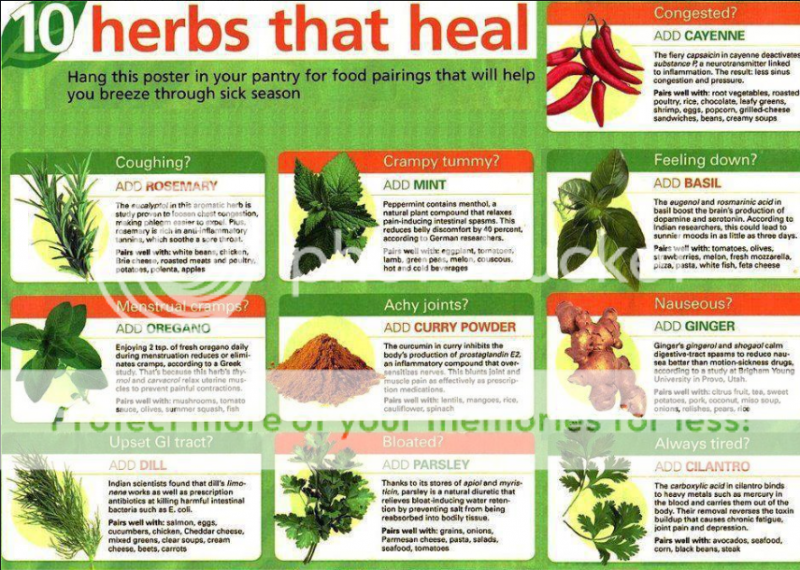 Home Remedies Healingpropertiesofspices_zps50359b70