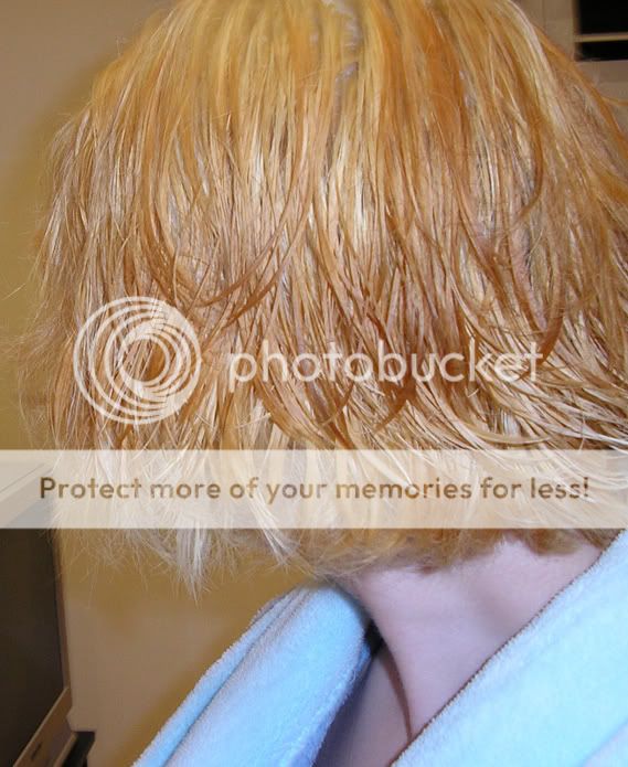 Hair Pictures - Page 10 Haare