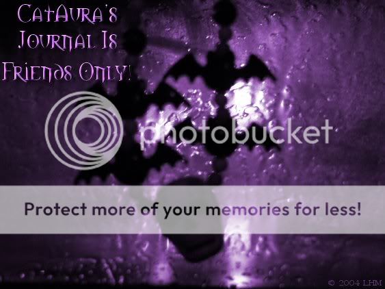 The Horror of CatAura