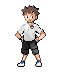 KoBRe LaiR's Trainer Sprites Requests