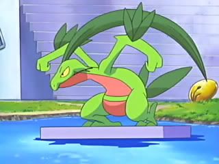 [PokeCommunity.com] ~General Pokemon Anime Picture Club~