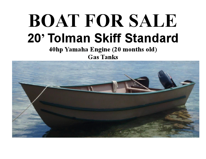 20' Standard prop size - General Discussion Tolman Skiffs - FishyFish ...