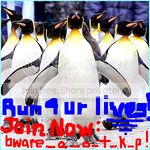 Join Now or the Penguin will give it to ya!