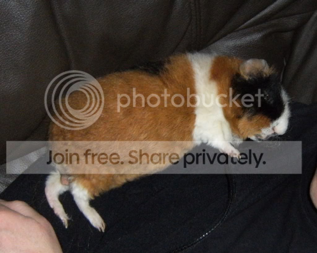 eatonsleeps.jpg