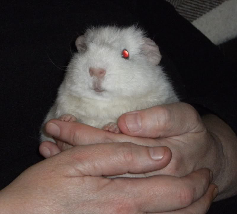 fluffeth.jpg