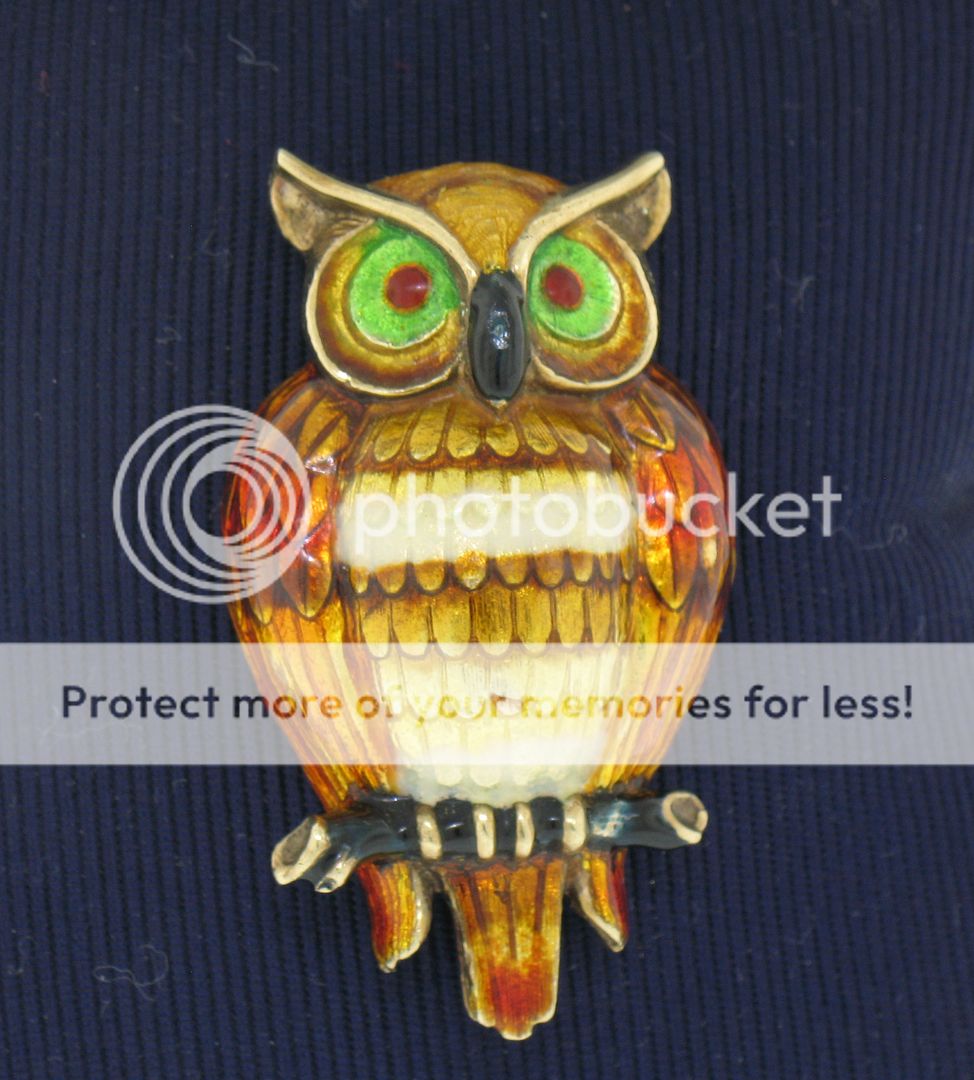 14k white gold detailed textured enamel owl booch pin nucite