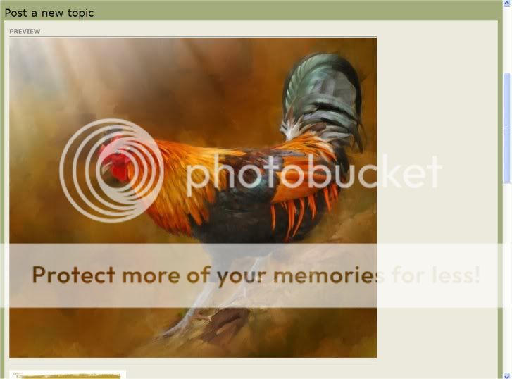 How to UPLOAD and HOST images using "host an image" button Image9-2