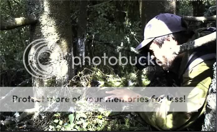 Lesser Spotted Eagle Camera Lovers / NEW: another cam in Latvia !! - Page 3 S19