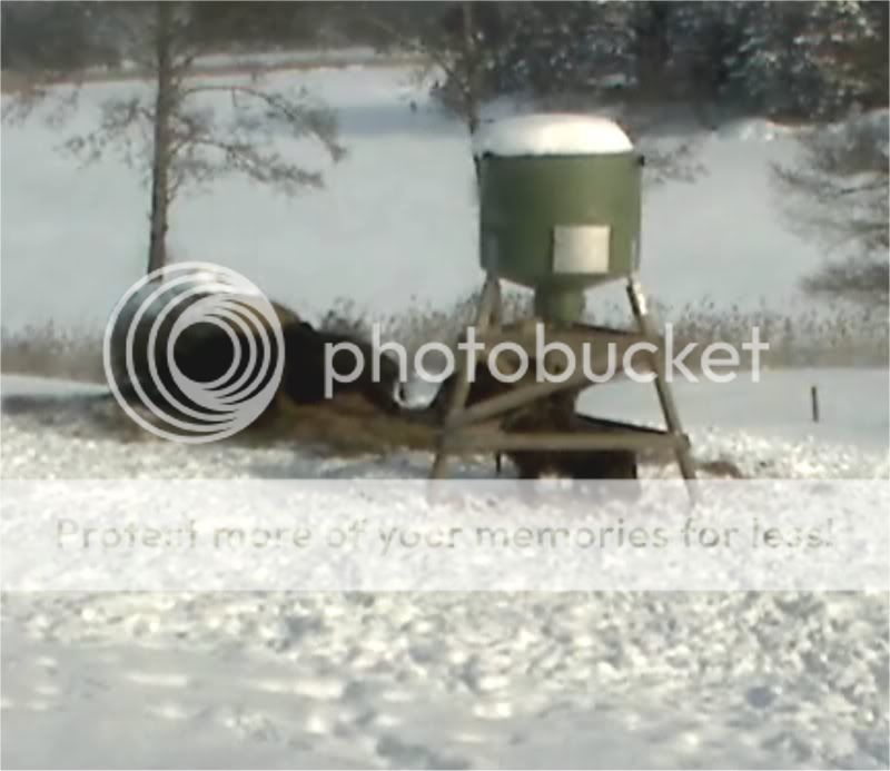 Wild Pig Camera Lovers/ ADDRESS CHANGED TO SWEDISH STREAMING CAM - Page 10 Breakfast