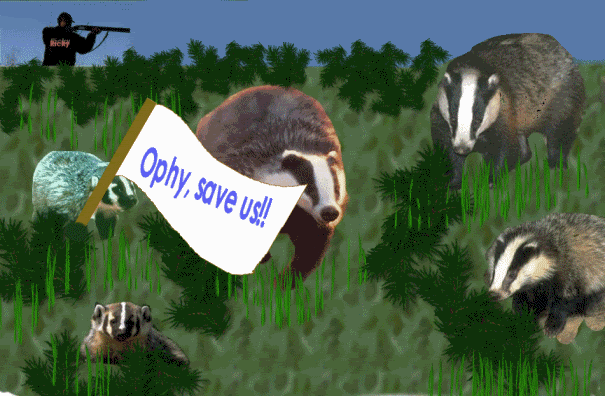 Where is OPHIOPHAGUS??? - Page 9 Savethebadgers