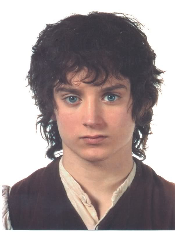 elijah wood frodo