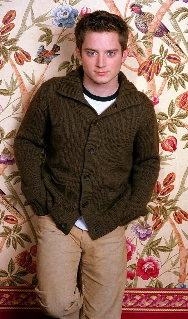 who plays frodo who plays frodo