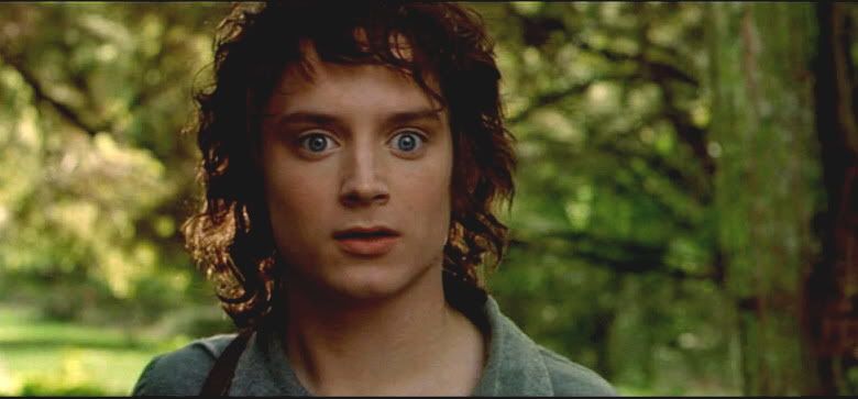 who plays frodo