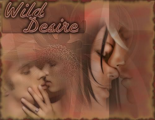 Shades of Love......... Wilddesire