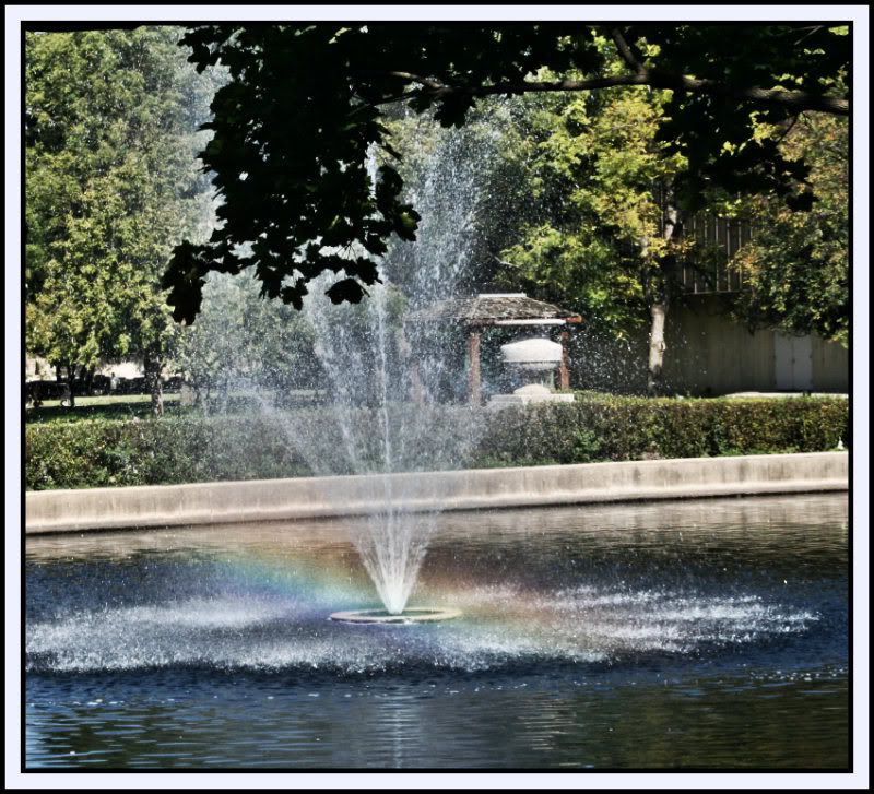 Rainbows in the Waters......... IMG_5669a
