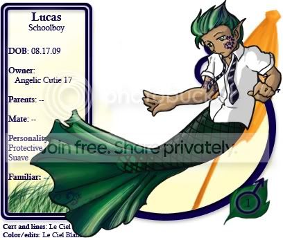 User Image