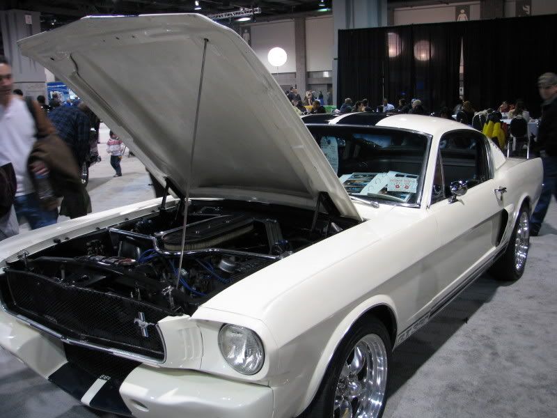 Pics from the 2009 auto show MAJOR DUW!!! Picture028