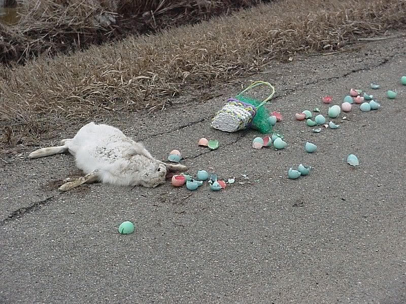 I have bad news........... Easter_is_cancelled