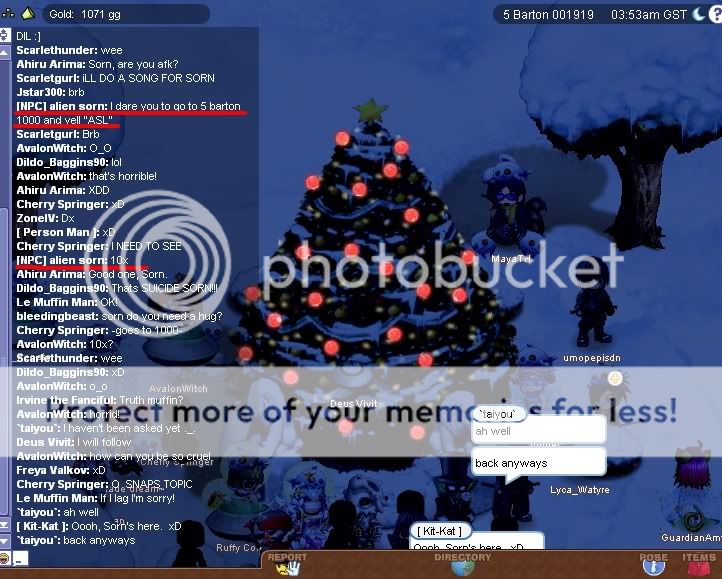 User Image
