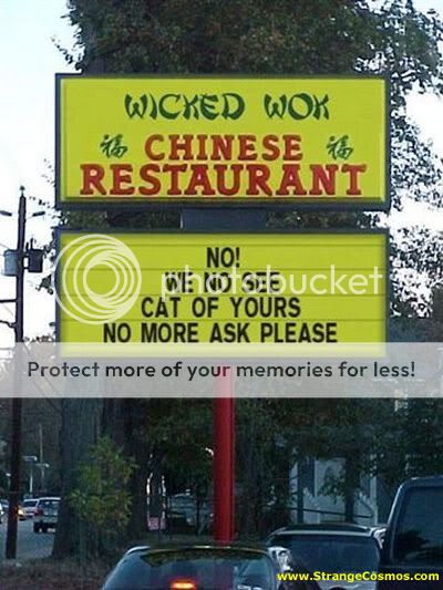 Funny Pictures Wok